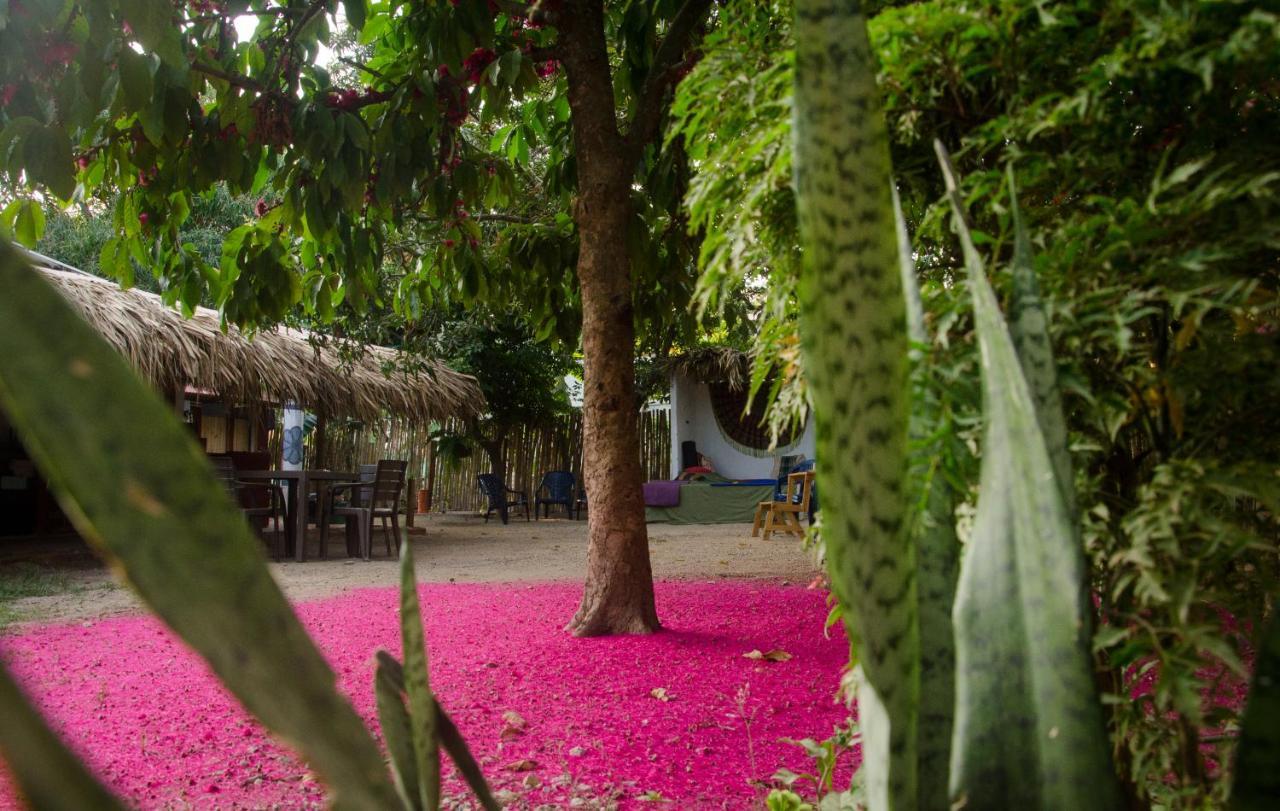 Hostal Corazon De Tagua Palomino Zewnętrze zdjęcie