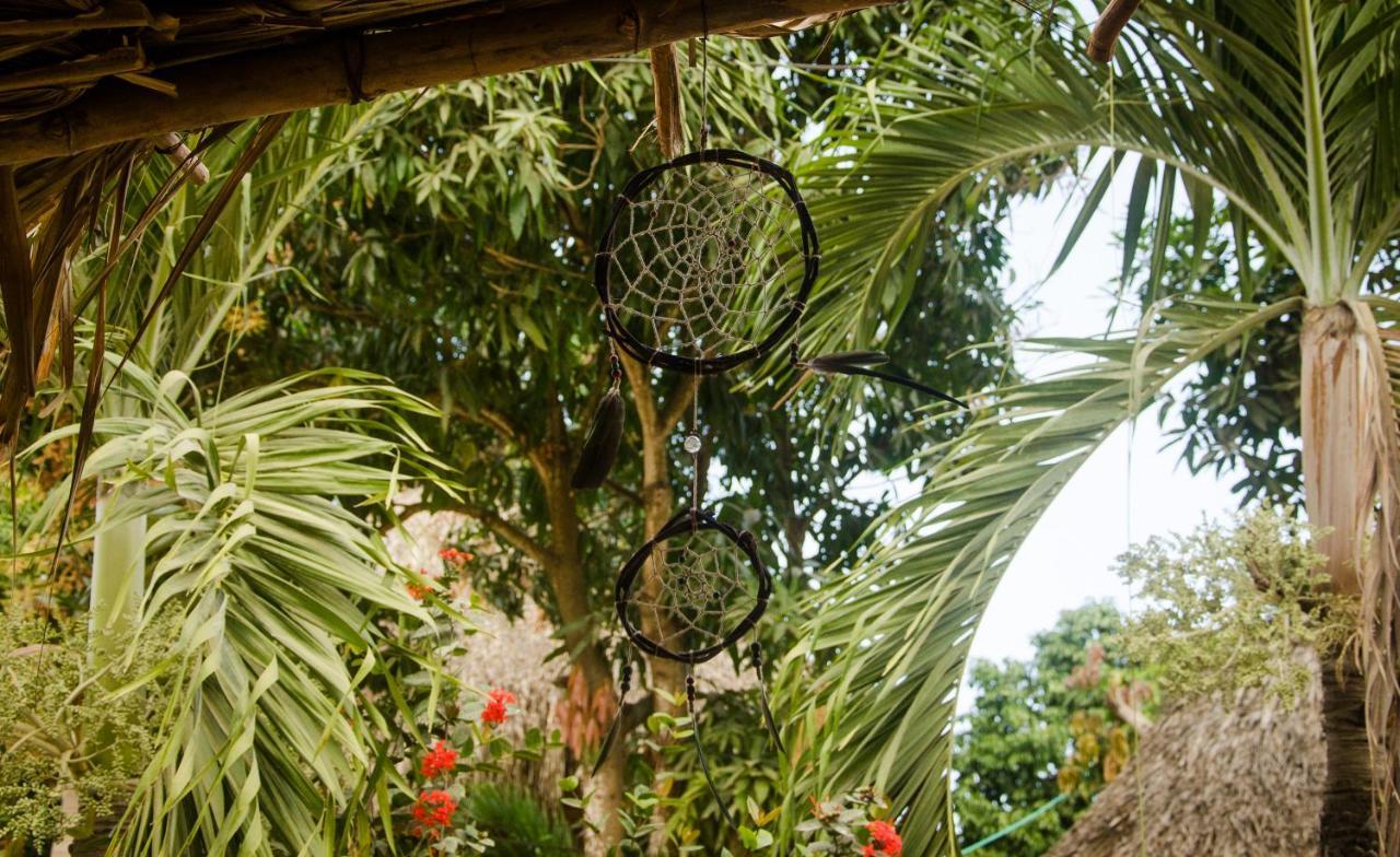 Hostal Corazon De Tagua Palomino Zewnętrze zdjęcie