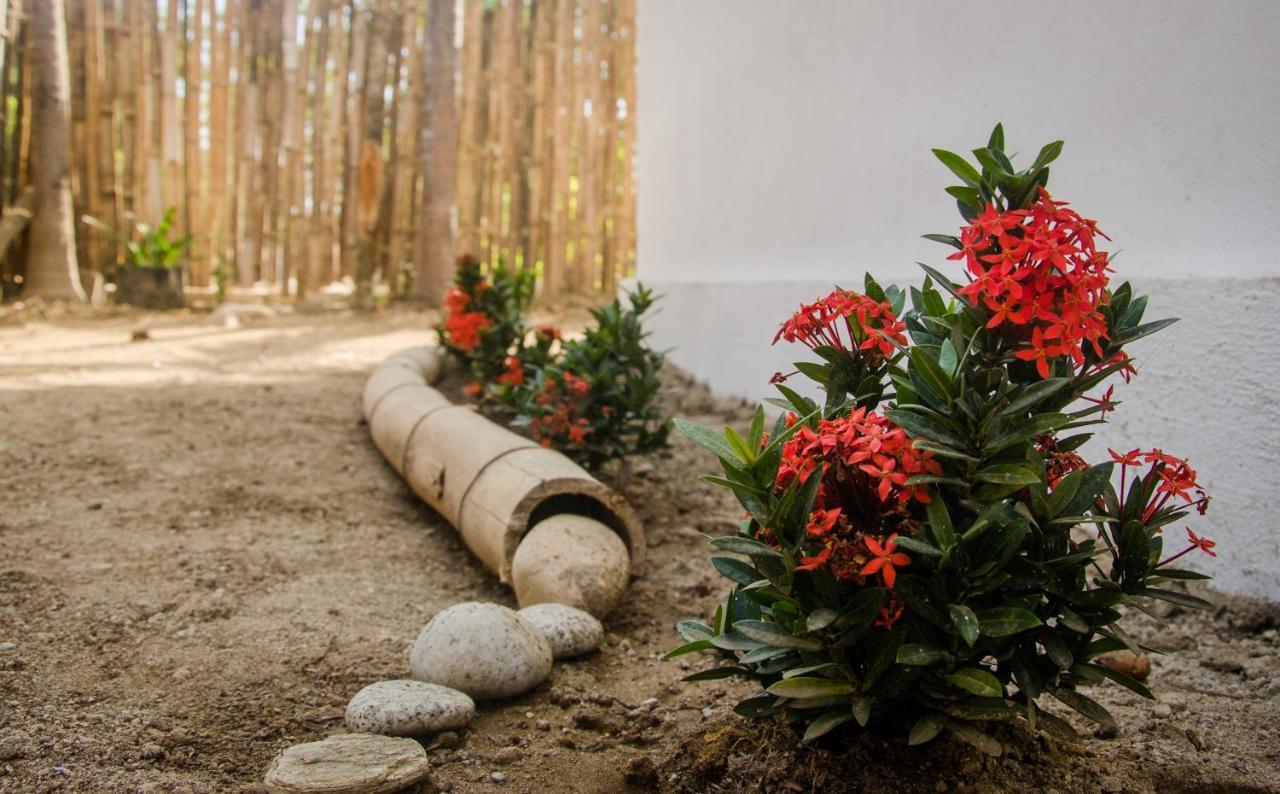 Hostal Corazon De Tagua Palomino Zewnętrze zdjęcie