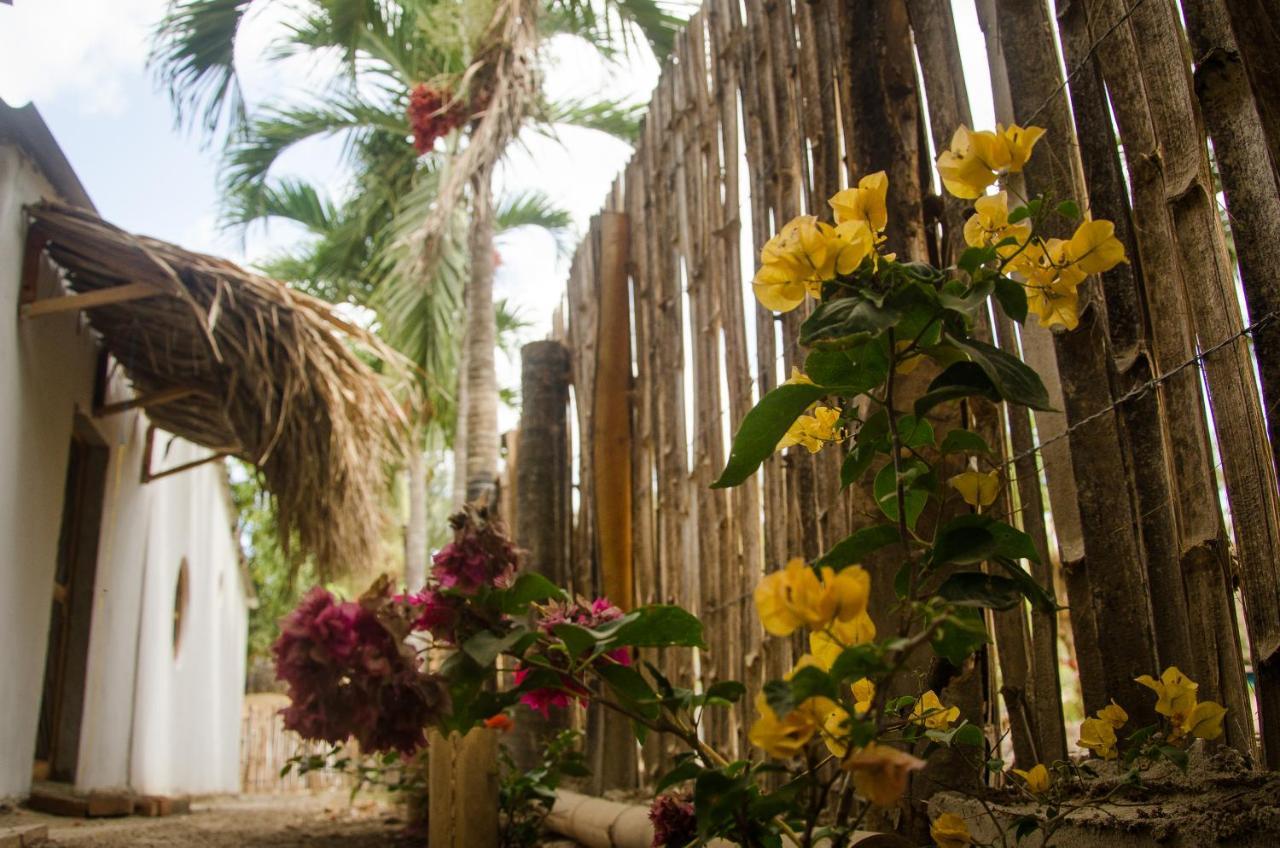 Hostal Corazon De Tagua Palomino Zewnętrze zdjęcie